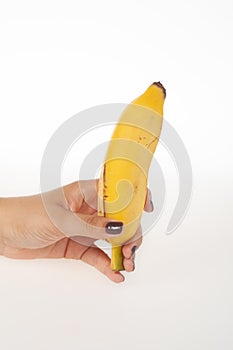 Hand holding whole banana isolated on white background