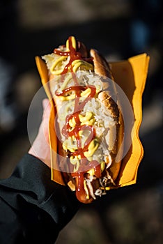 Hand holding a wurst sandwich