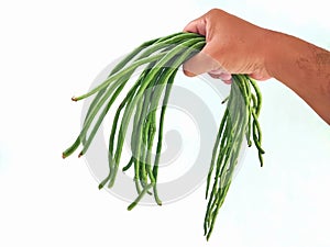 Hand holding yardlong beans