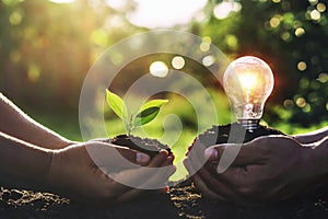 hand holding young plant with light bulb on dirt and sunset background photo