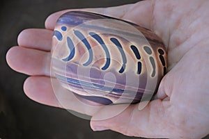 Hand holding a Zebra rock