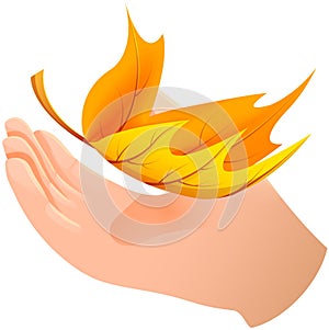 Hand holds autumn leaf vector illustration. Fallen golden yellow leaf isolated on white background