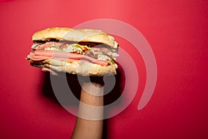 a hand holds a barda sandwich, mexican cake, mexican food, mexican sandwich with chorizo, ham, avocado, white cheese photo