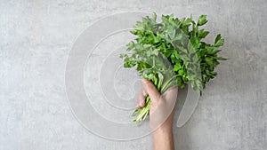 Hand holds a bunch of parsley