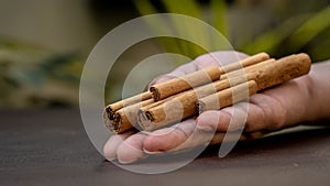 Hand Holds cinnamon sticks, isolated on dark brown background. photo