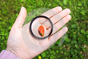 Hand holds circular polarizer filter on summer landscape background.