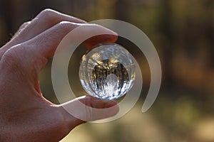 The hand holds a crystal ball in the forest. Selective soft focus. Reflection of the forest. Environment concept. Concept and them