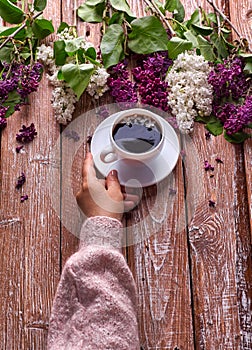 Hand holds a cup of morning coffee with spring lilac flowers branches blossoming on wooden background view from above. Flat lay