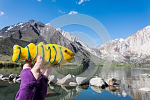 Hand holds a fish shaped decorated sugar cookie in front of Convict Lake, a popular fishing destination in California