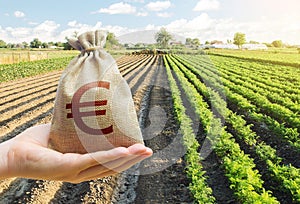 Hand holds out a euro y bag on a background of a carrot plantation. Support and subsidies. Lending farmers for purchase land photo