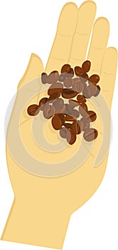 Hand holds roasted brown coffee beans. Espresso, americano, latte, cappuccino