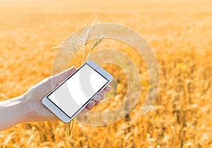 The hand holds a smartphone with a white screen against the background