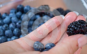 Blue forest fruits. photo