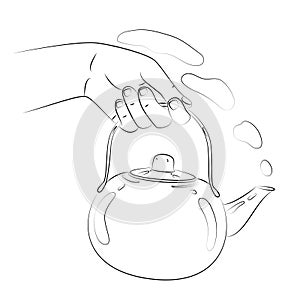 Hand holds a teapot for brewing tea. Serve tea. Close-up of metal kettle. Utensil for kitchen. Use for menu design, recipes
