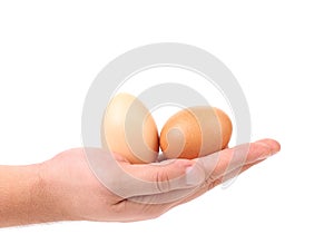 Hand holds two eggs