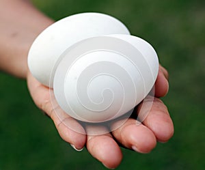 A hand holds two white eggs