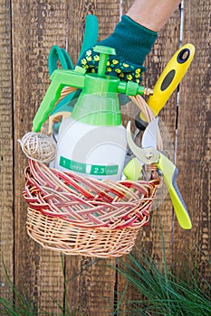 Hand holds a wicker basket with garden tools and wooden fence on the background