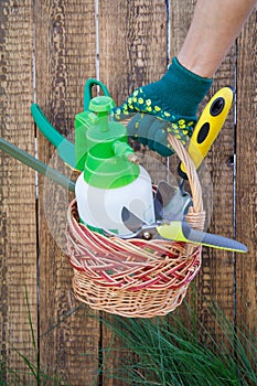 Hand holds a wicker basket with garden tools and wooden fence on the background