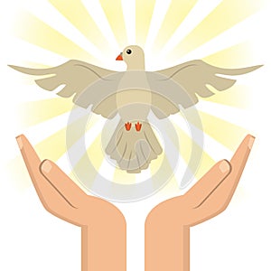 Hand with holy spirit catholic