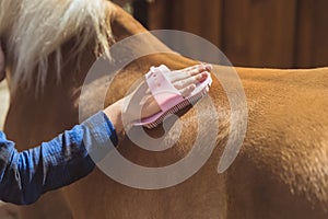 Hand Of Horse owner Brushing Off Dust From Her Flaxen Horse Back Using Brush