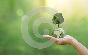 Hand of human holding green earth with tree for ESG, co2, and net zero.Concept of World sustainable environment, Save our Planet,