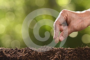 Hand of human planting seeds in soil