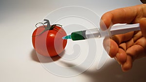 Hand injects a syringe with green liquid gmo in a tomato on a white background
