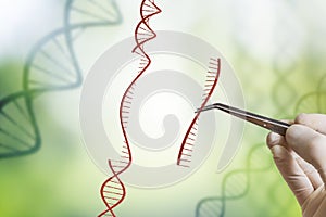 Hand is inserting sequence of DNA. Genetic engineering, GMO and Gene manipulation concept photo