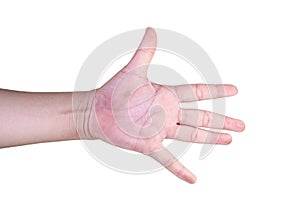 hand on isolated background clipping path