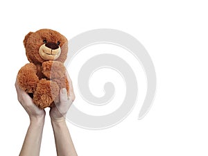 Hand isolated small toy bear