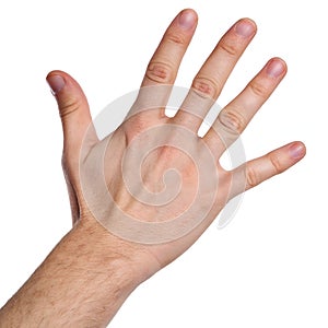 A Hand Isolated on White Background