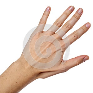 A Hand Isolated on White Background