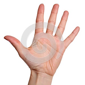 A Hand Isolated on White Background