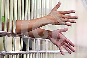 Hand in Jail