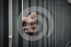 Hand in jail photo