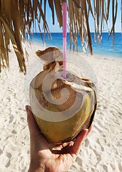 Hand keeps fresh green coconut on a tropical beach