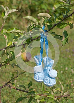 Hand Knitted baby shoes