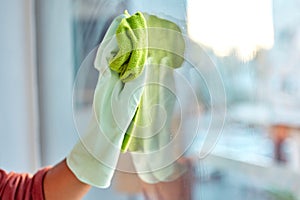 Hand, latex and cloth for window cleaning, hygiene or clean housework and disinfection at home. Hands of cleaner wiping