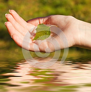 Hand with a leaf