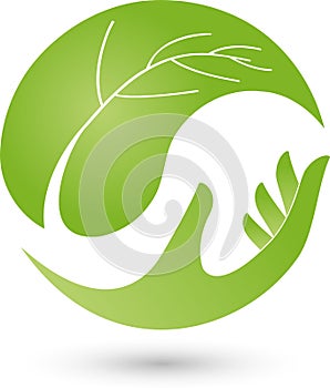 Hand and leaf, plant, wellness and naturopathic logo photo