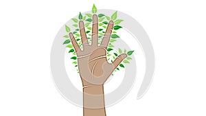 Hand with leaves , vector illustration