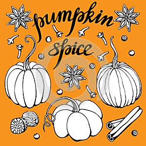 Hand Lettering Pumpkin Spice. Coffee restaurant brochure vector, coffee shop menu design. Vector cafe template with hand-drawn