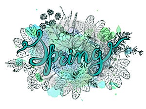 Hand lettering word Spring with hand drawn herbs