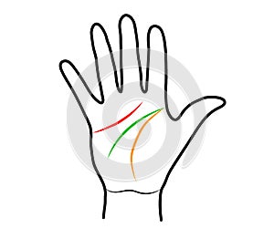 Hand and lines on the palm. Palmistry. Vector