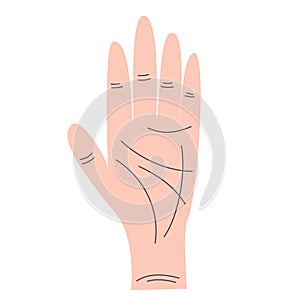 Hand lines for palmistry is isolated on white background. Flat illustration with lines. Esoteric vector. Vector hand