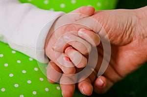 Hand of a little baby in mother's