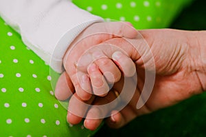 Hand of a little baby in mother's