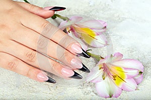 Hand with long artificial black french manicured nails