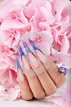 Hand with long artificial blue french manicured nails