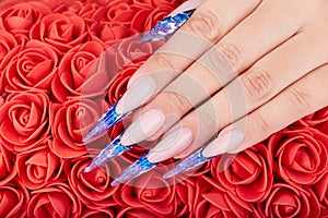 Hand with long artificial blue french manicured nails